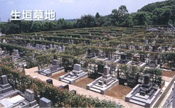 生垣墓地