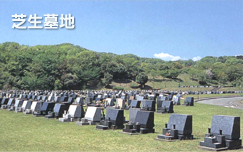 芝生墓地