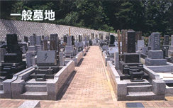 一般墓地