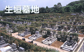 生垣墓地
