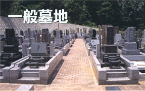 一般墓地